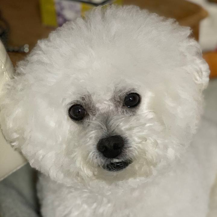 92090cdf 0a5d 4d3f a3a4 0dd654e18dc9 1550233693667