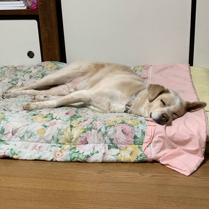 92091020 832b 44f1 a7db c587bf29598c 1555165552855