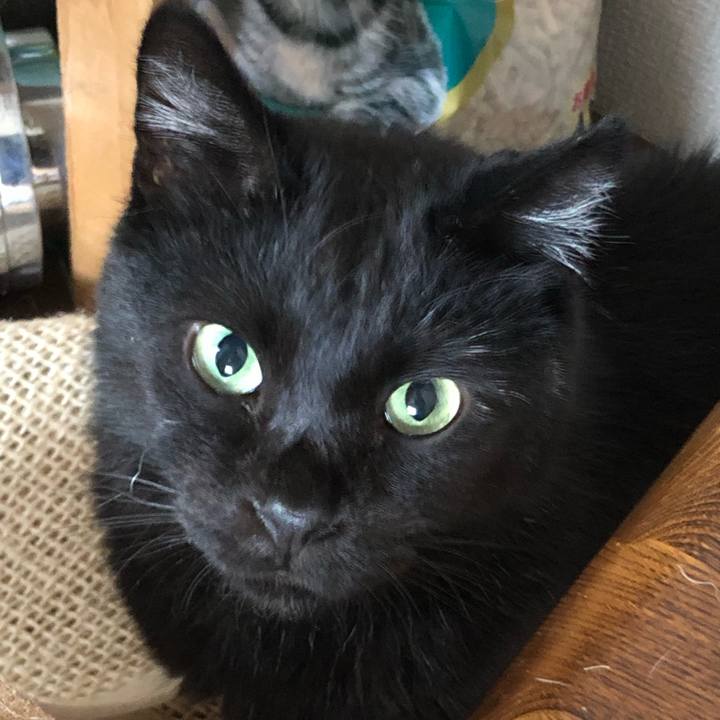 92094ae6 0d41 40d1 803c 39c55750bdb5 1567891880051