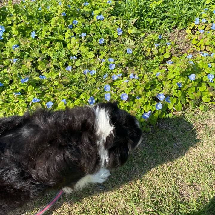 92095232 7ee4 438c ba9e 0acdade5f0b2 1697336699106