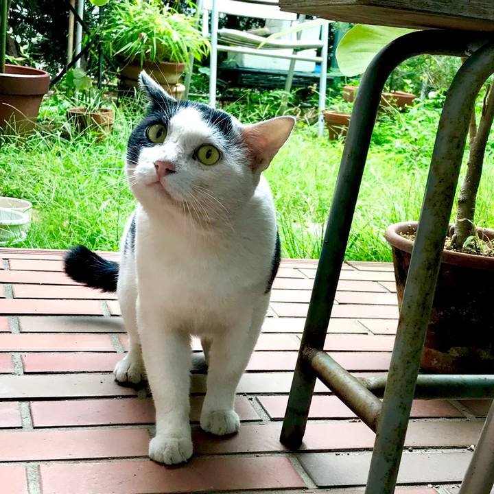 920966ea b929 45ff 99b2 d4b141753821 1537411645142