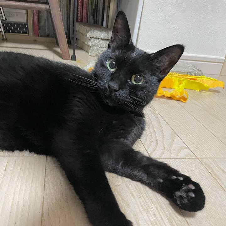 92098b9e 8737 4248 8c82 f1452800af68 1708433606232