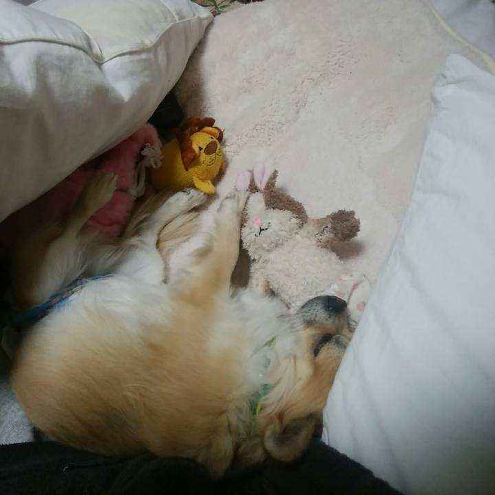 9209db35 e260 4a3a 9998 21fda78a8986 1546784949293