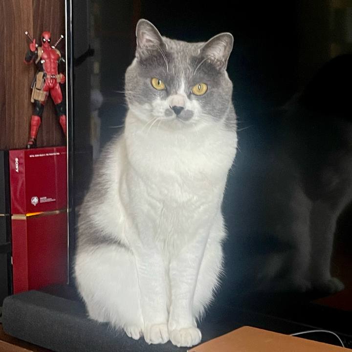 920a1f0c 6805 493e bb6b a06a9e9222b2 1681004369904