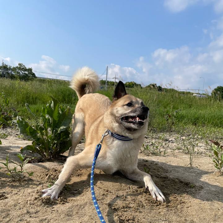 920a4f77 5d71 49bb 9de3 1454e70a405c 1653132189383