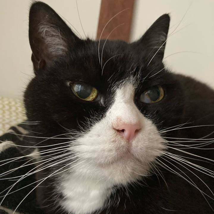 920a63cb 3621 4f16 a65a 98eabff04b02 1637629012198