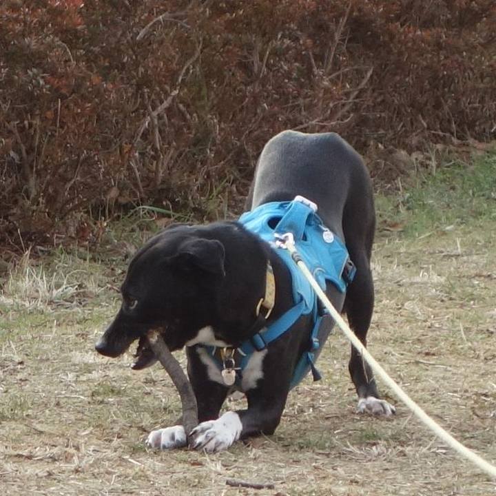 920a71d0 3248 4a5f 94df 915d651c8179 1614042655593