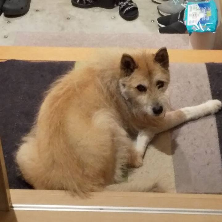 920a7511 6012 47dd bfd6 22d9da926105 1591628886653