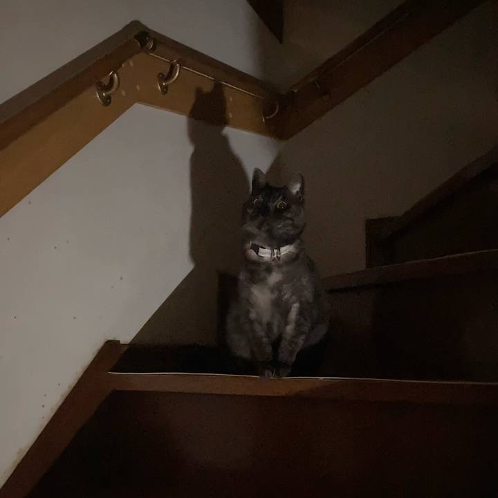 920a987d 323b 41c8 a0fd 044063a5aecf 1765807850226