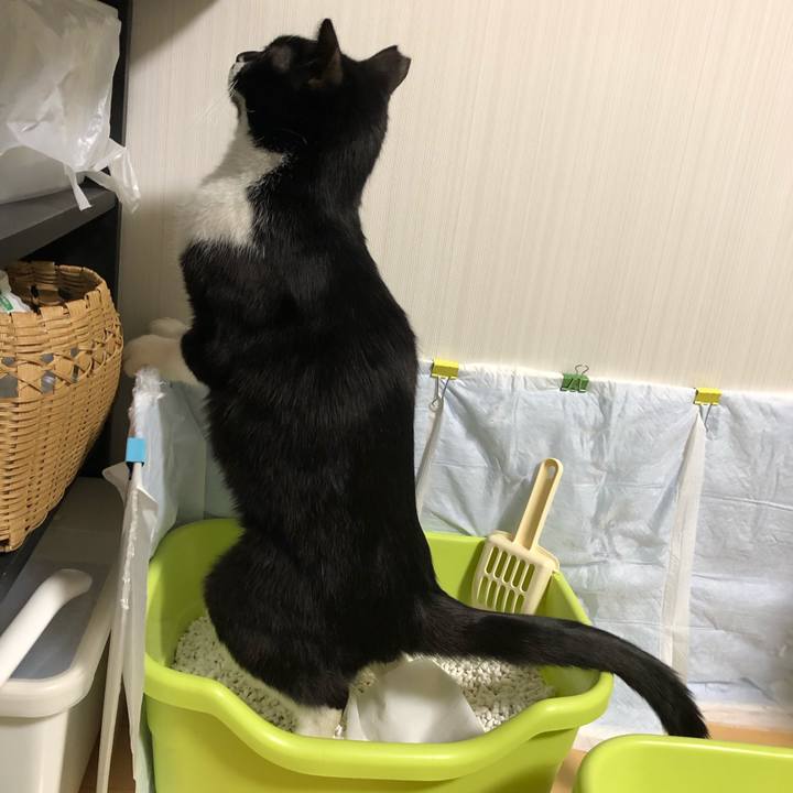 920aa6e5 a2b2 4641 8797 9eb8e89e835d 1550127810409