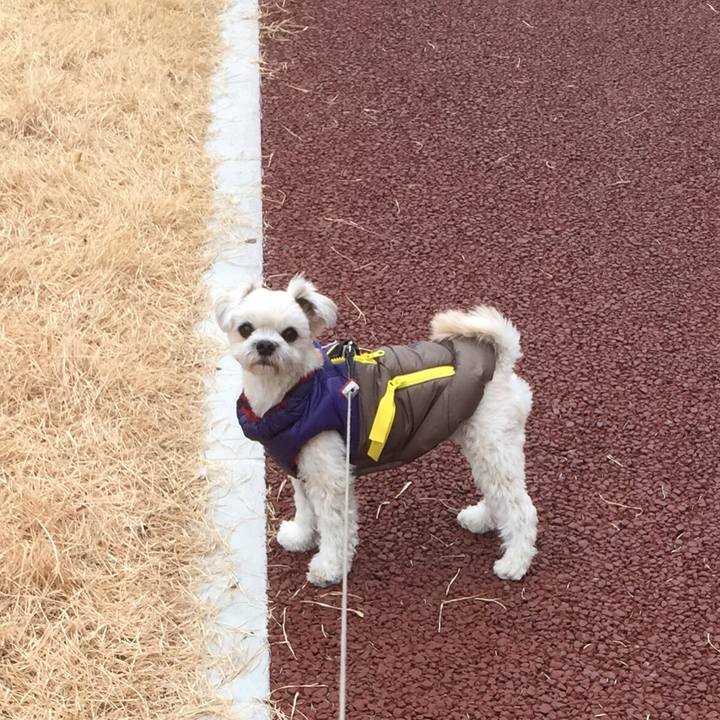 920abfa9 ae4c 48d6 9653 73b1665e7064 1515409664466