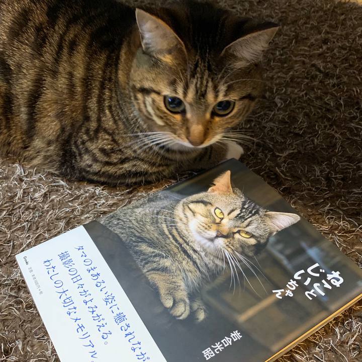 920abfab bd68 4546 8e8a b233f65b0f39 1549720060770