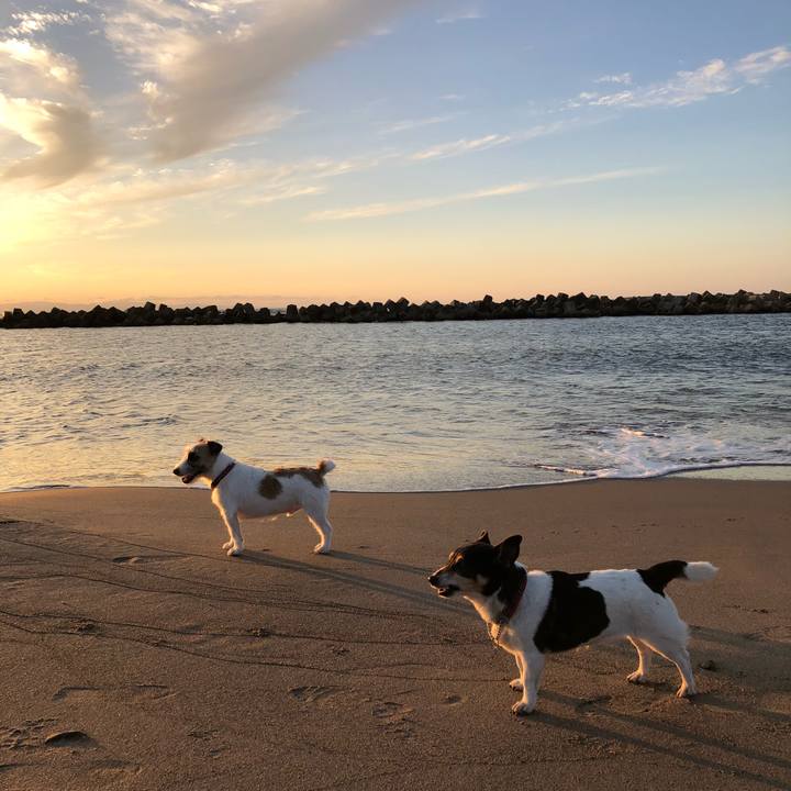 920ad791 3df0 4218 a4e5 42a673dd097c 1536658773860