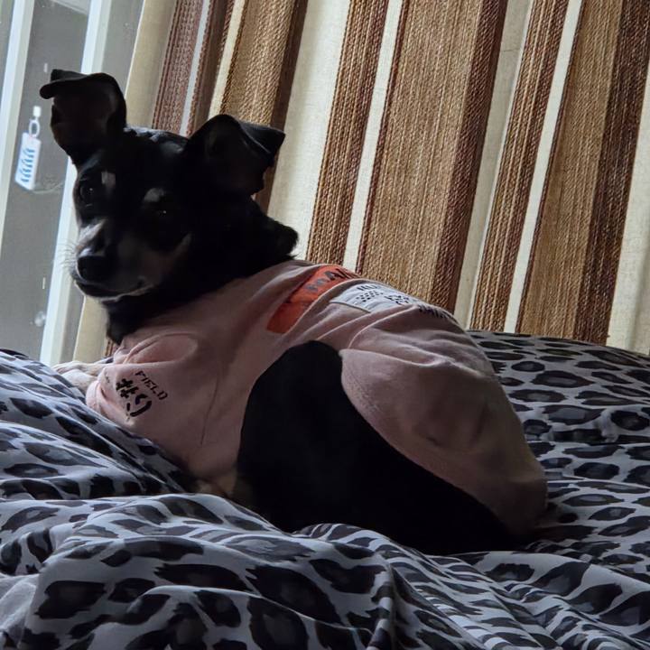 920b02cc d50f 479d 8f40 5a1007463c40 1759998888410