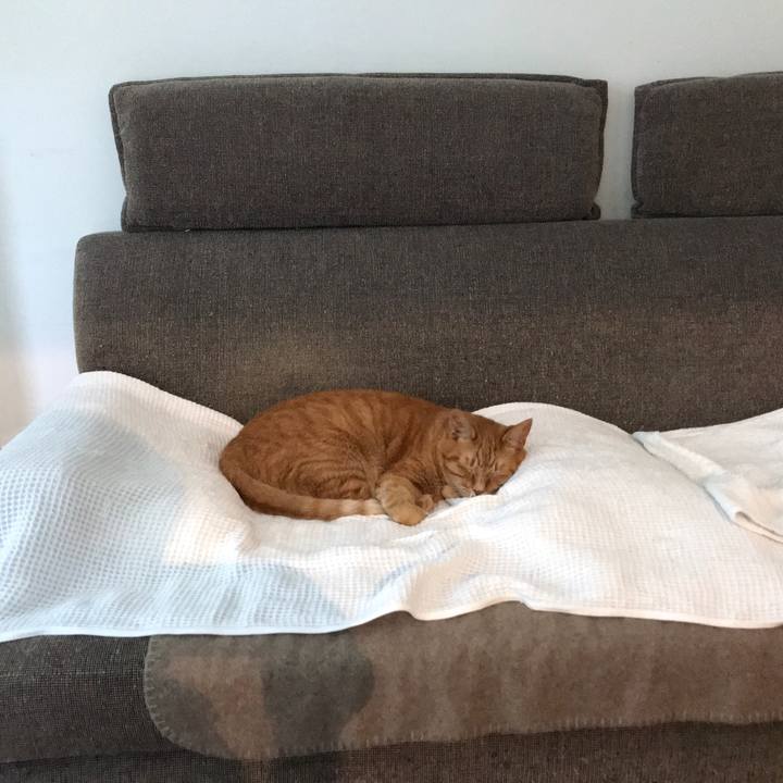 920b5706 e91b 40af 85cf 6d43aef5efad 1623174747754