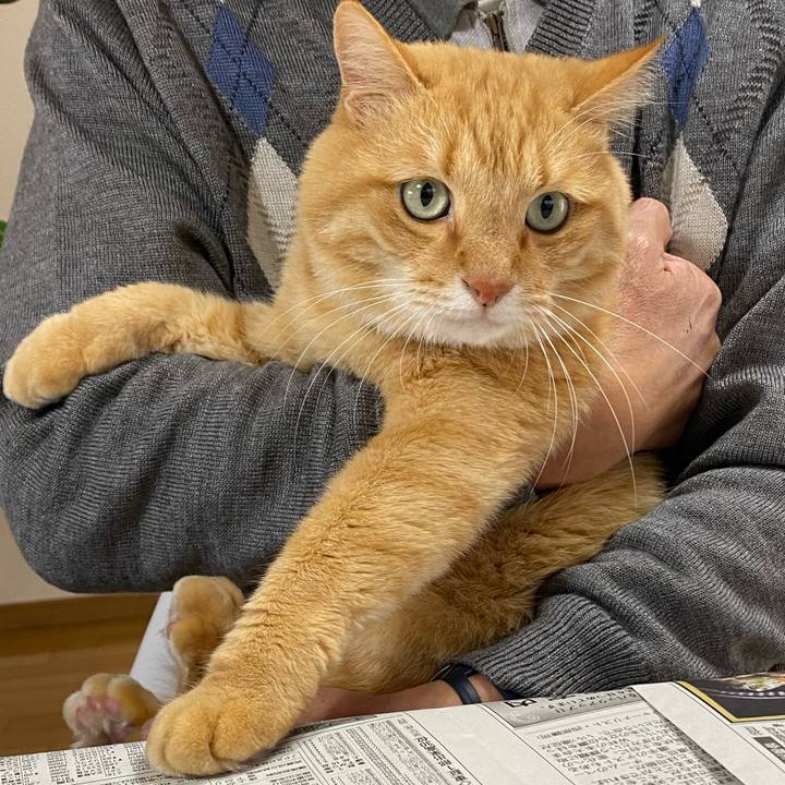 920b84cf 2967 4367 baf9 687cc35ec10a 1606259372377