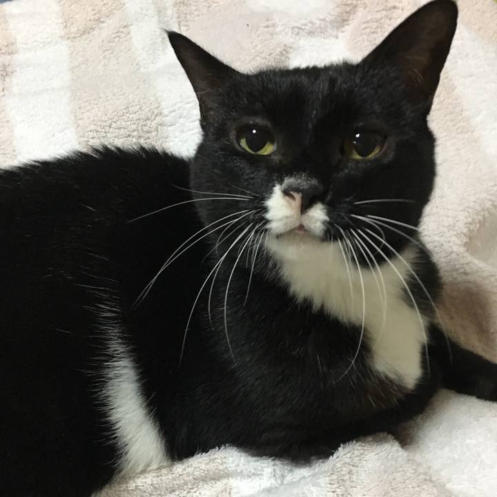 920b889b 3ca5 4c8d a5fc eb4b878a07e7 1541337961329