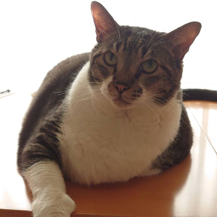 920baead d21c 4145 b43e a6632051a6a2 1632180805273