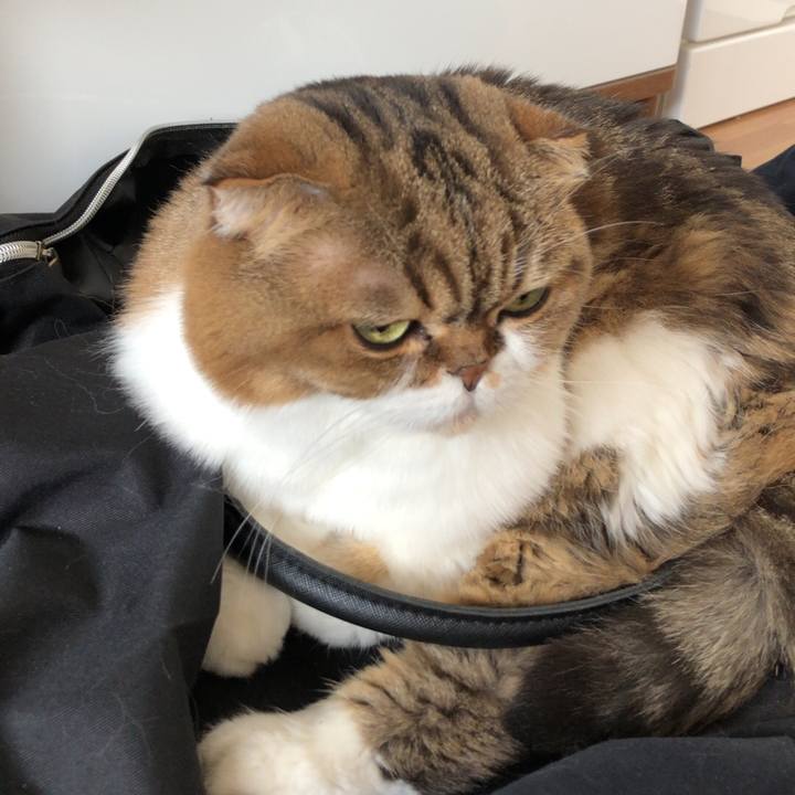 920bdbb7 f784 4985 9bf9 3aa32407b414 1537689910105