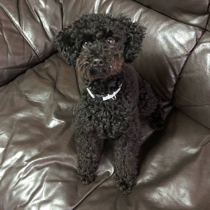 920bdcc1 9e94 477b a18e 2b4842eb78ba 1511780022555