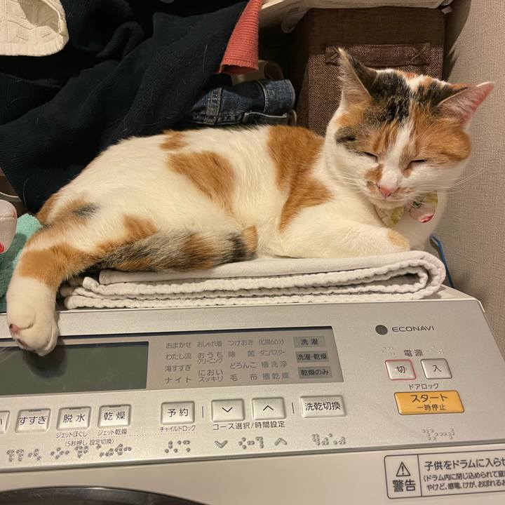 920bf608 bae4 4ebc 8697 e8121818effa 1643153958125