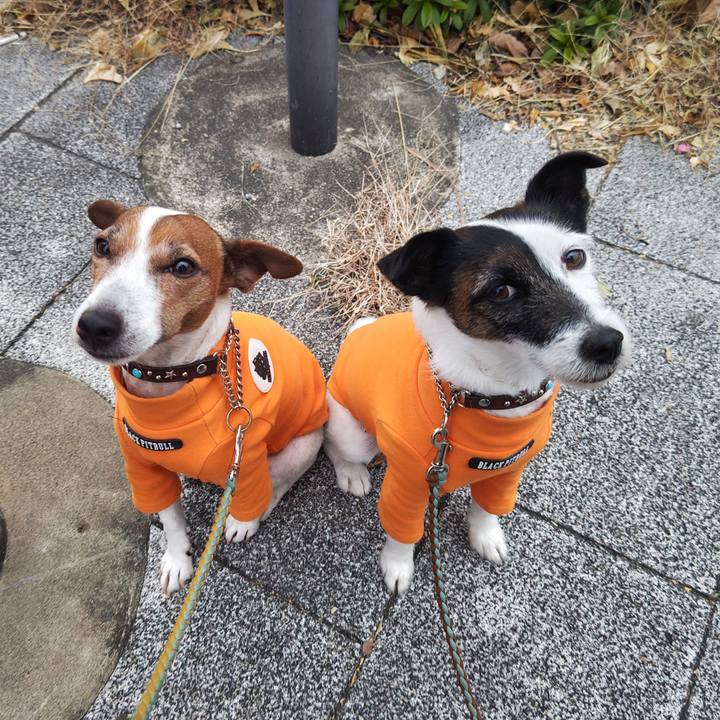 920c1ab8 0ca6 4301 85e4 36d3f5a97acf 1736114837931