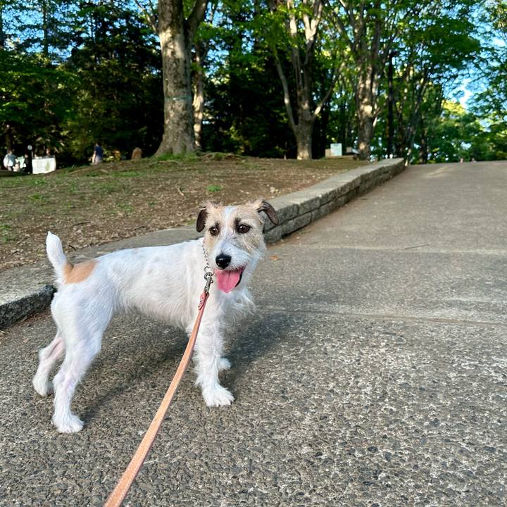 920c71fb 6442 48ee 86ab 6d23a8e355be 1714745432542