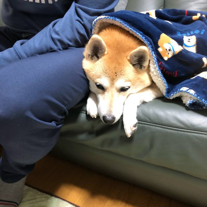 920c76c4 140d 4e49 9c46 b8cbcd628244 1572695117428