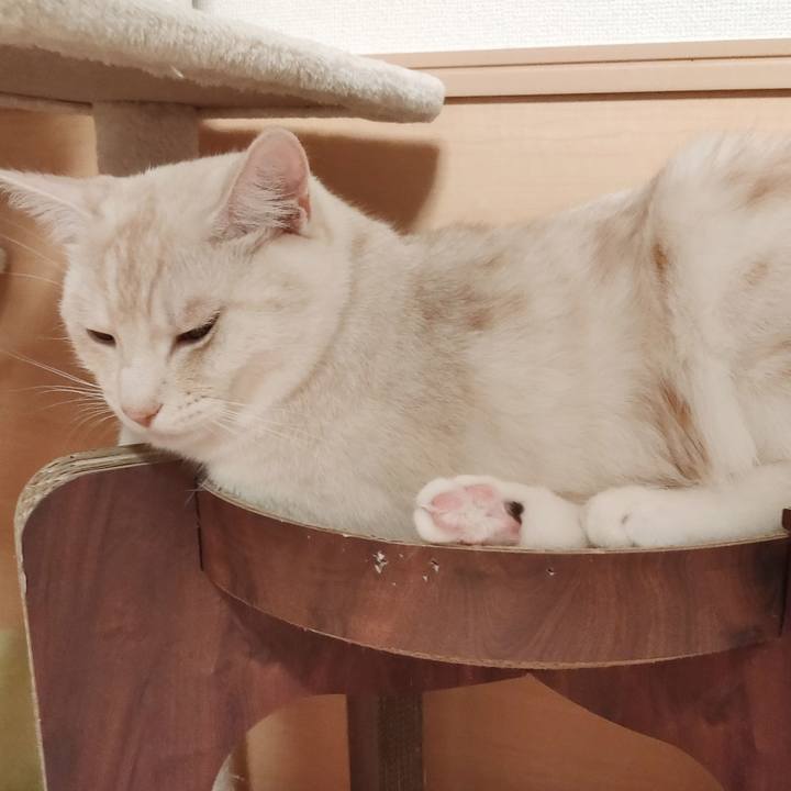 920c7dc8 d041 4684 92c2 7d01ade839dc 1655899630851