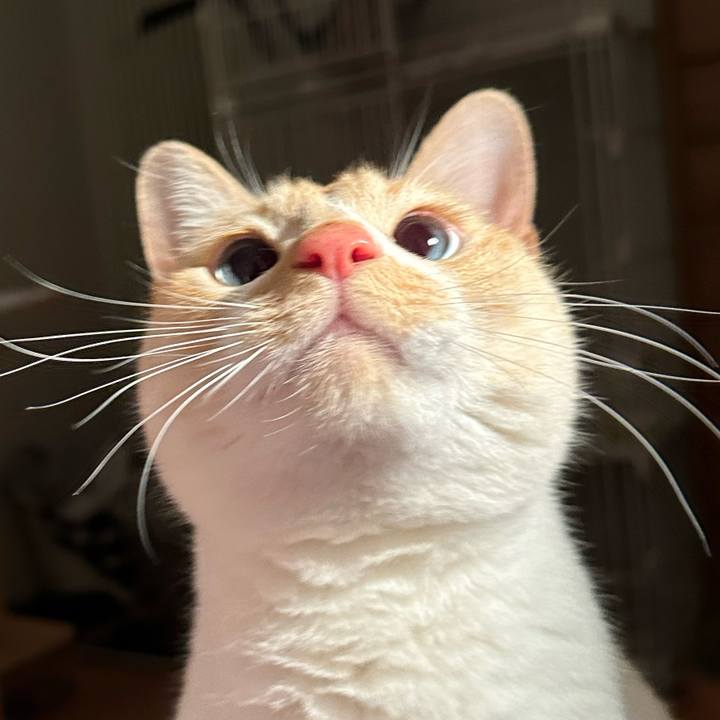 920cd795 8830 450f 8bcf 0019f584ea9a 1768827545708