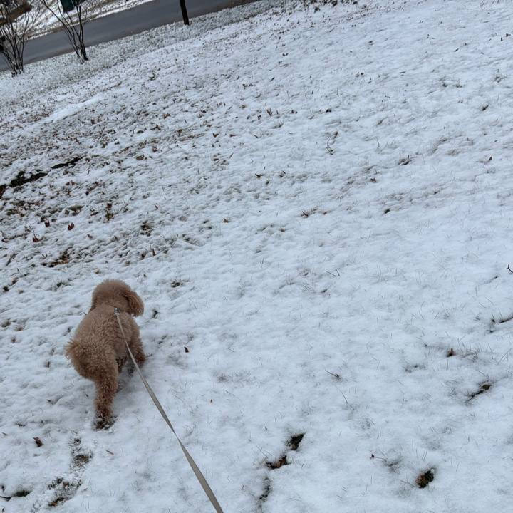 920ce367 e10e 42ab 879a 0c0b0b171c88 1764977035893