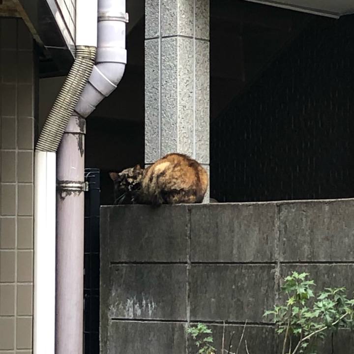 920d0770 b786 45a4 81d4 cc7cd1f425f4 1603573367215