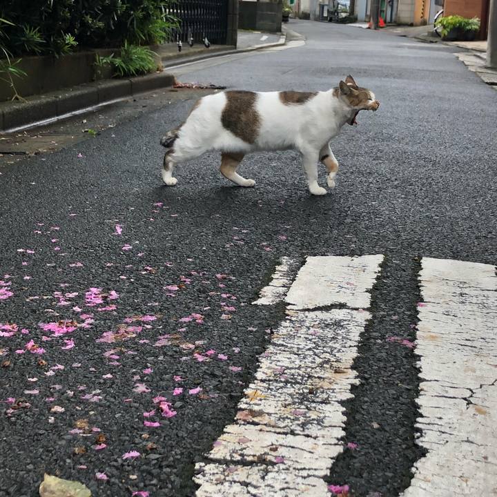 920d32a2 85e3 4969 bec6 e5e554e0e05e 1569071233558