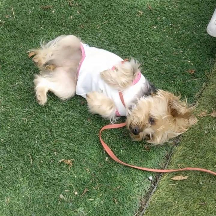 920d4095 32fe 434c b664 ccbc73ed3bbe 1695731450746