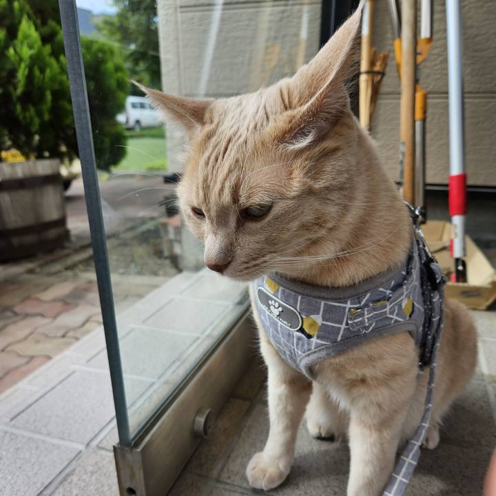 920de18b 1518 46a0 ada3 310d9f6a5456 1691970806758