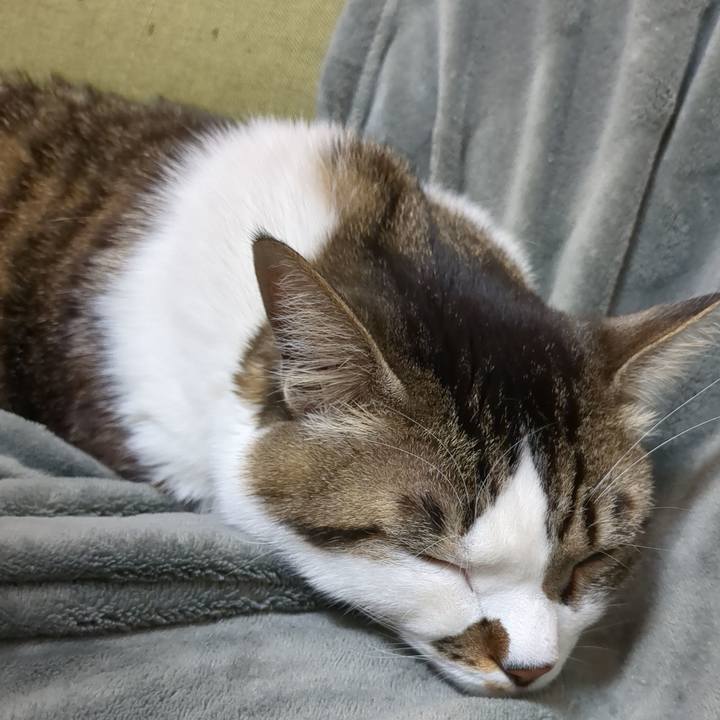 920e0fa7 bb1d 456a 90c5 c975f187f947 1708933001613