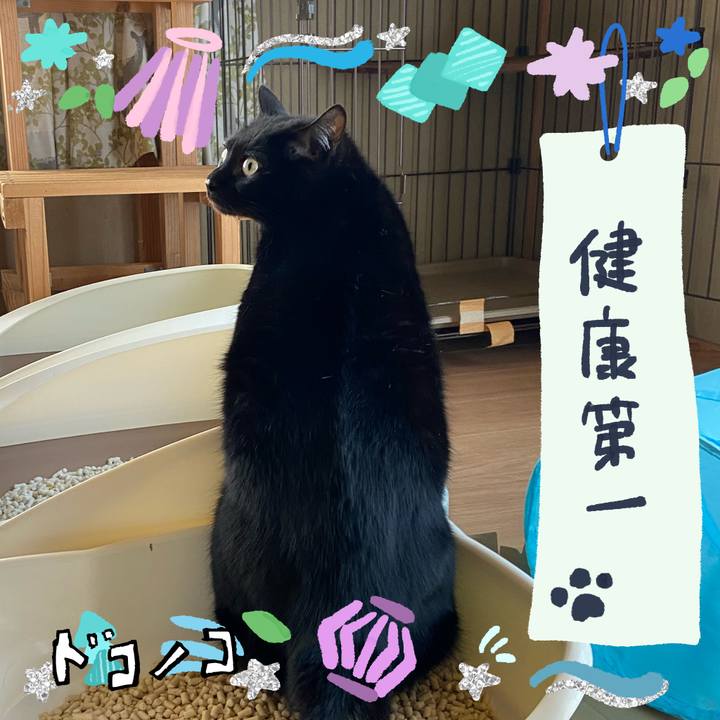 920e272a 6089 47c0 8c12 a2119f3d7cc9 1720786669305