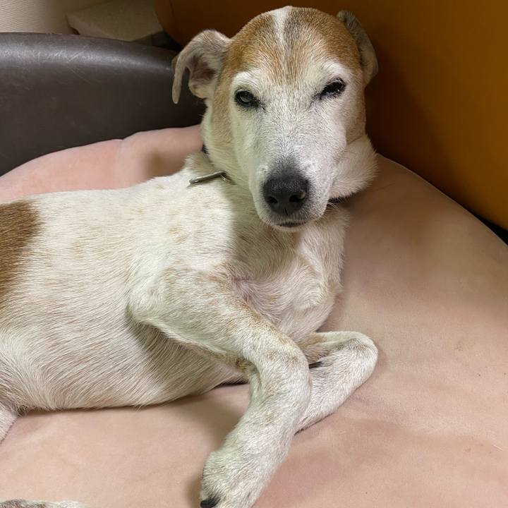 920e48f3 5b97 4ee9 9a2a 322b8851074e 1611397301268