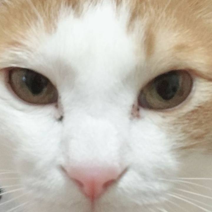 920e6312 d259 4ea9 86a1 0316b3b2f5a6 1520690268540