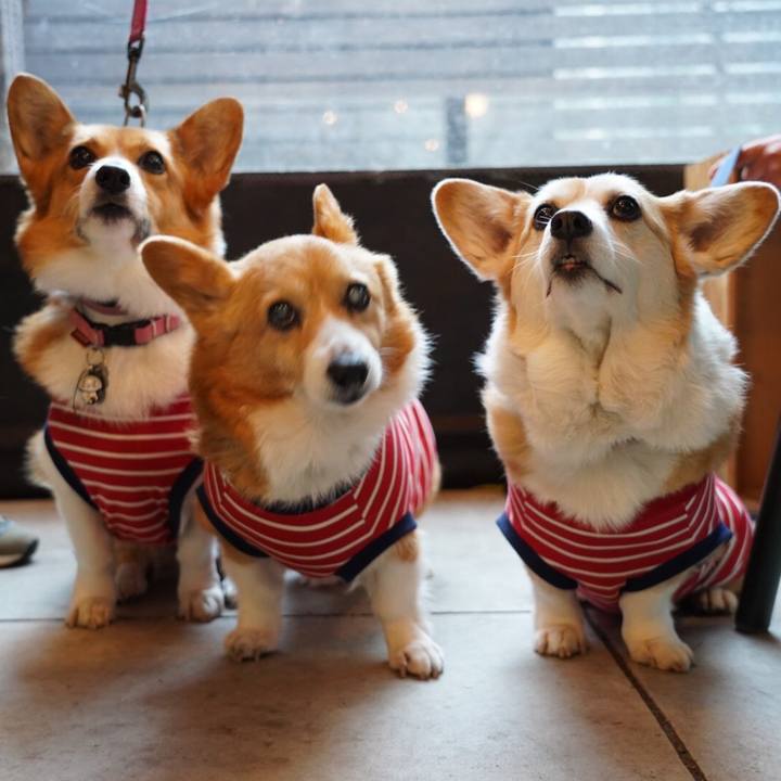 920e93c4 1839 40a5 aad2 f4140af2a0ce 1583453277795