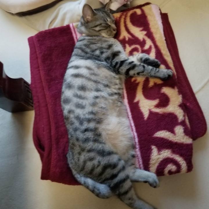 920ed3b4 af29 4155 9538 3f5838273856 1684419700052