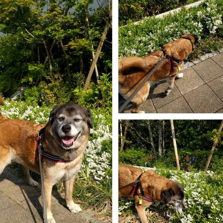 920ed7f6 b030 449e b356 0af509a2037c 1524183777090