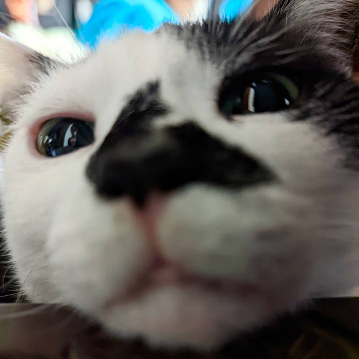 920ee03d 57b5 4237 ba8e 37a6c6e94035 1644892096493