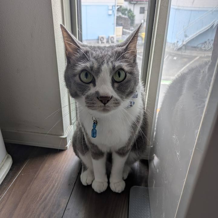 920ee1ec 2354 4497 ac08 df8da148b9a1 1759544424353