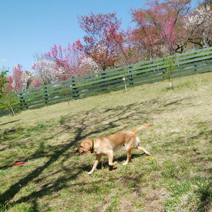 920f1e56 27bf 4c60 afd2 5b049012f7be 1523258219227