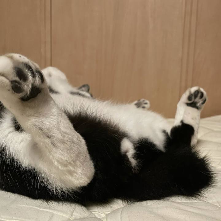 920fa4f0 d8d4 45dd b3da 8ed1ff24ea65 1625512855667