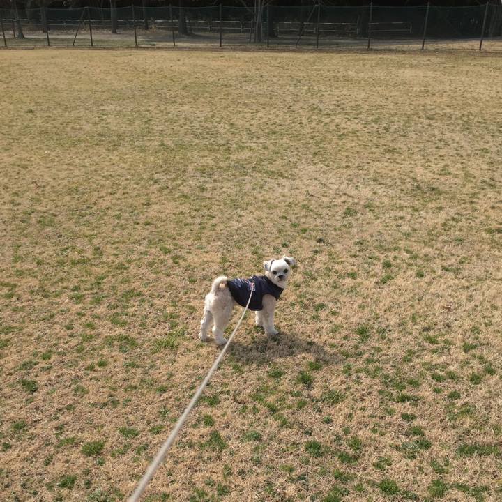 920fc432 26cc 4ced b157 4169bdf2f569 1550996011989