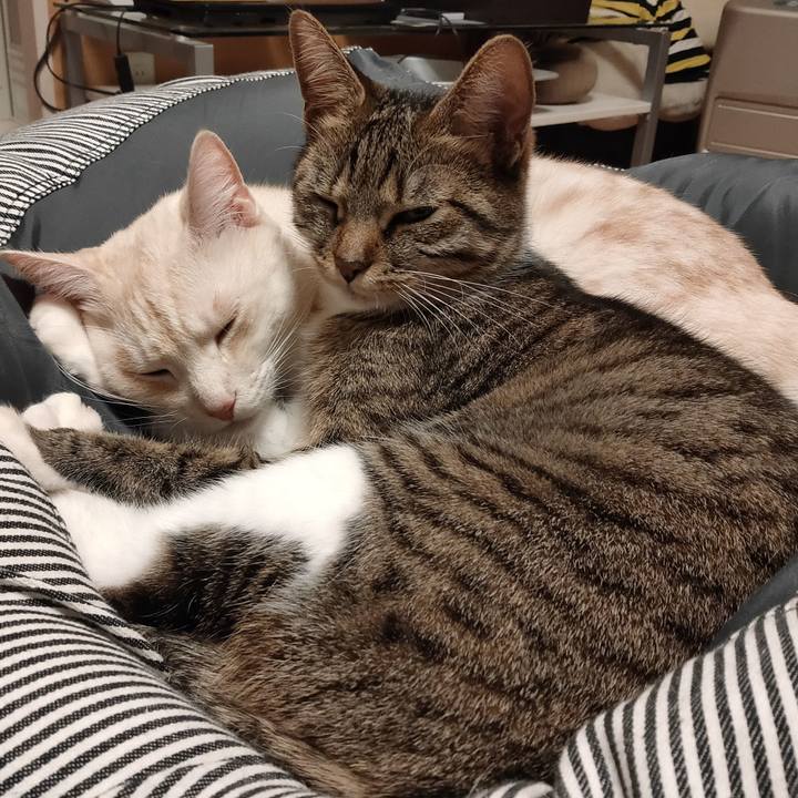 920fd34d b702 449f 9b36 06082c4c82ba 1674130315647