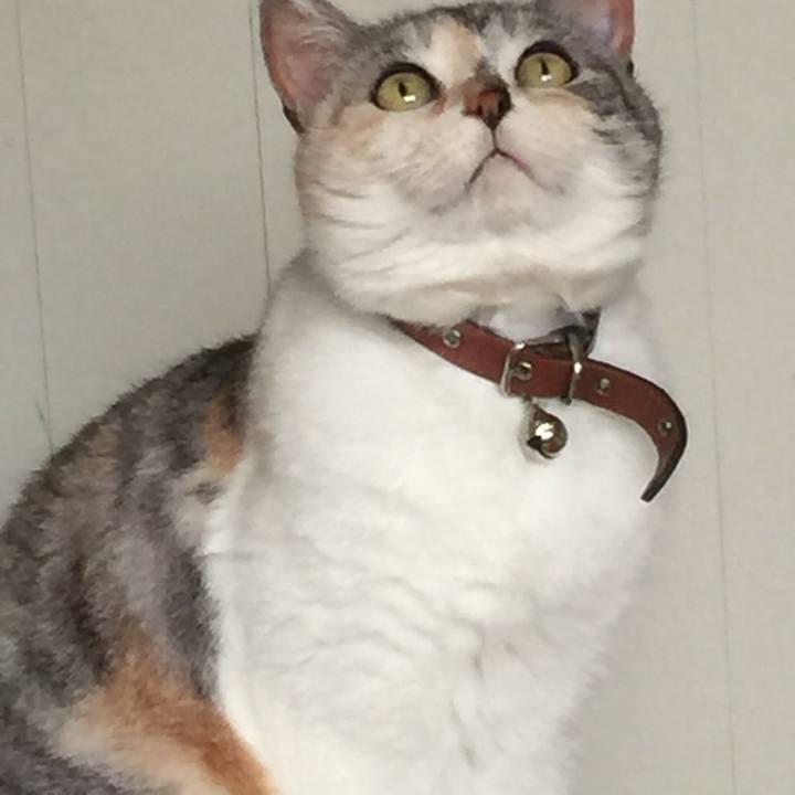 920fdaab 5a7f 46d4 9a9f 8d28896f4504 1559372639769