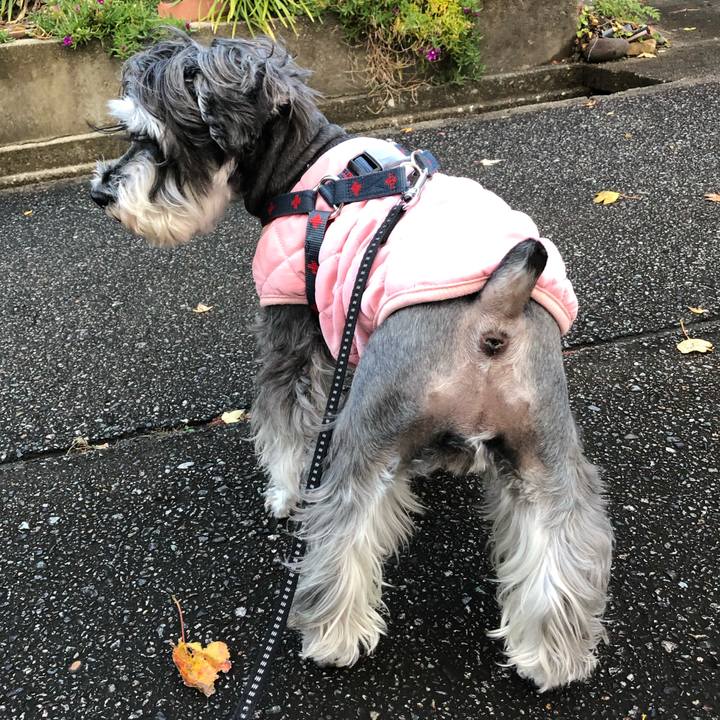 920ff38c 3f69 4512 a835 4fd6241b7ade 1637640651078